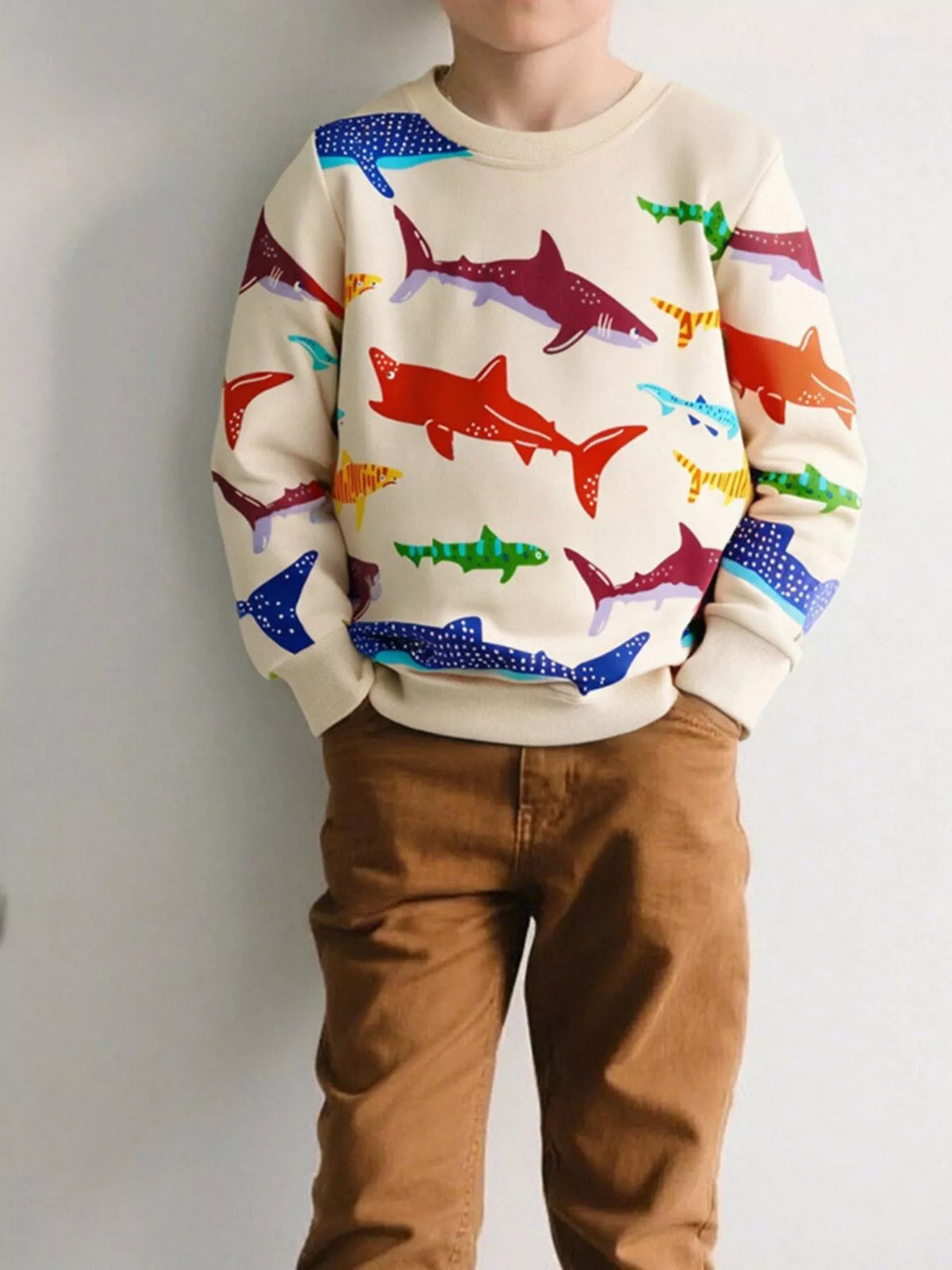 Boys Clothing 2T-8Y | Tops, Bottoms & Sets | Tillby