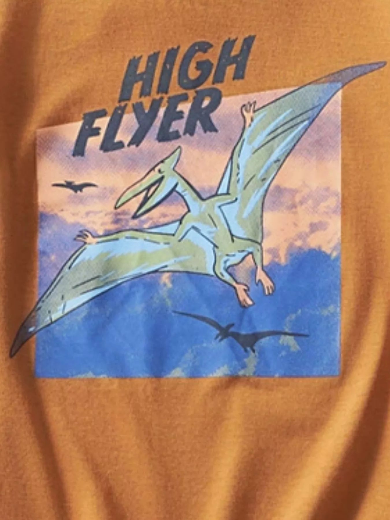 Caramel kids T-shirt with High Flyer prehistoric flying creature graphic, design close-up