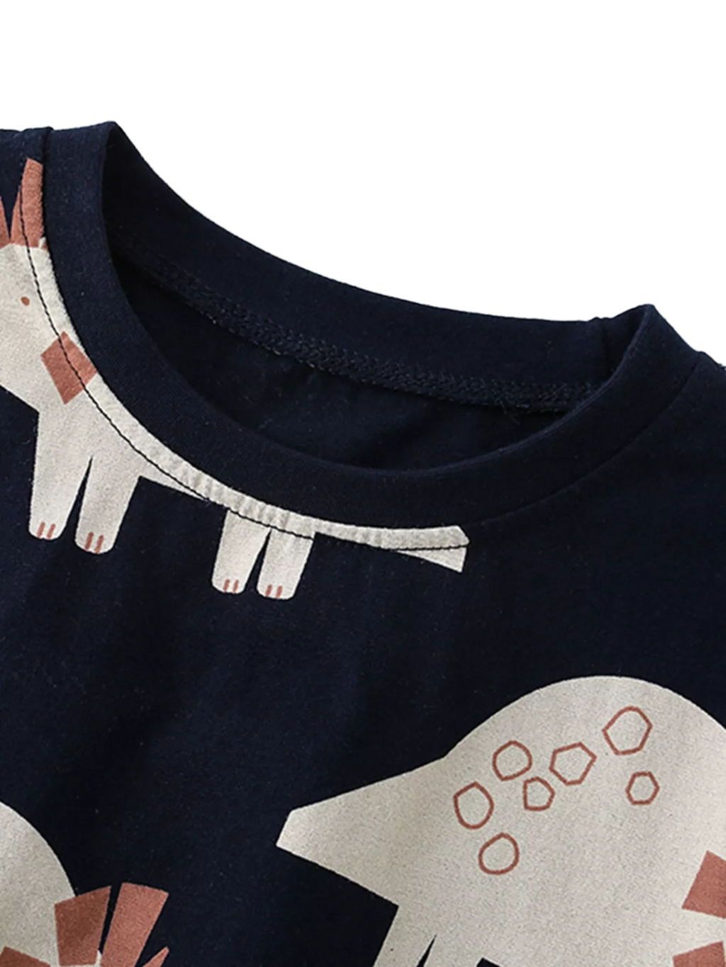 Dinosaur Print Round Neck Tee and Shorts Set