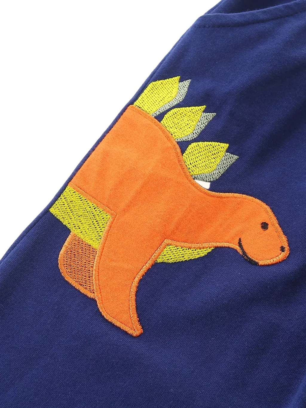 Dinosaur Embroidered Top and Pants Set