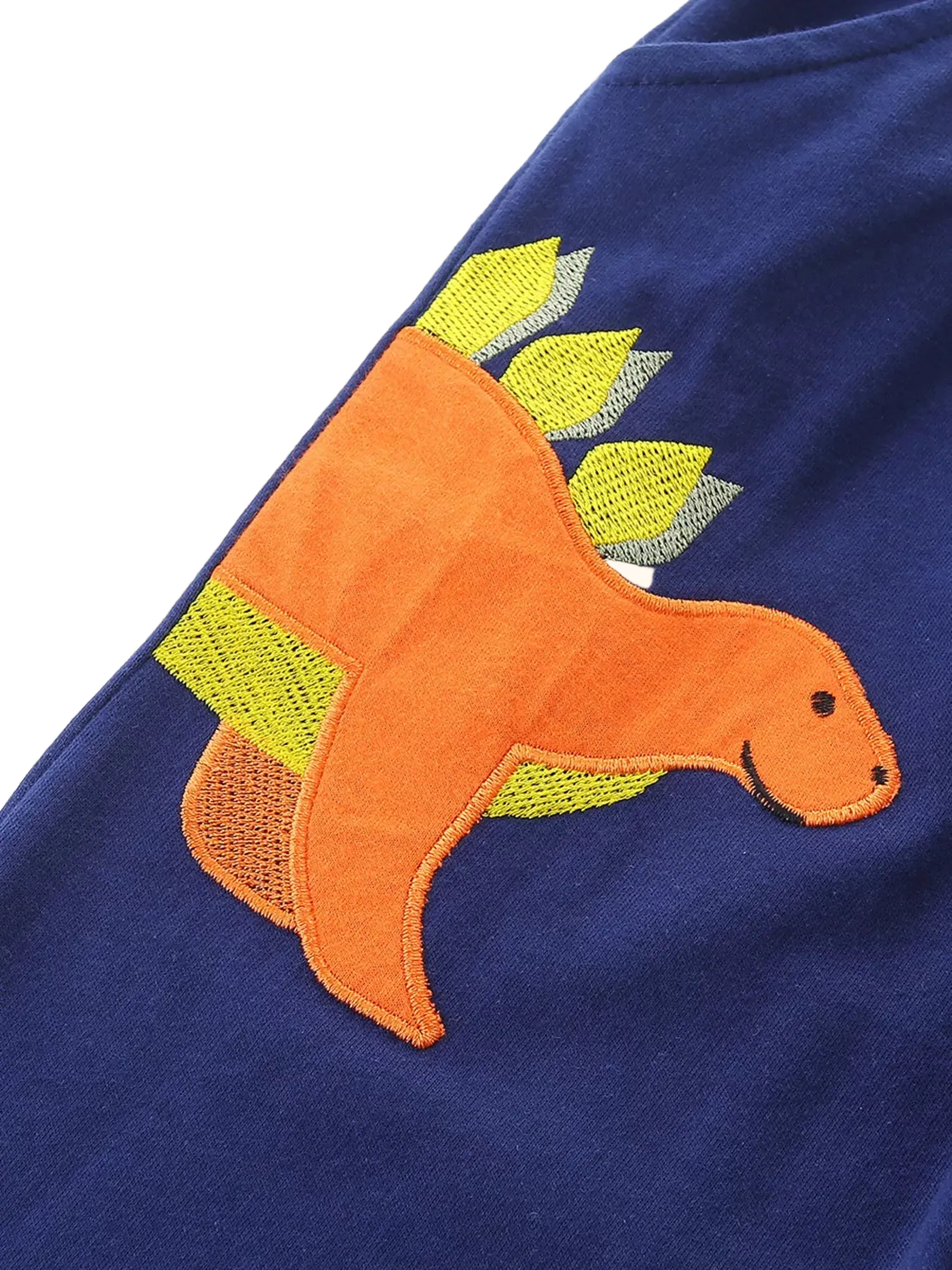 Dinosaur Embroidered Top and Pants Set
