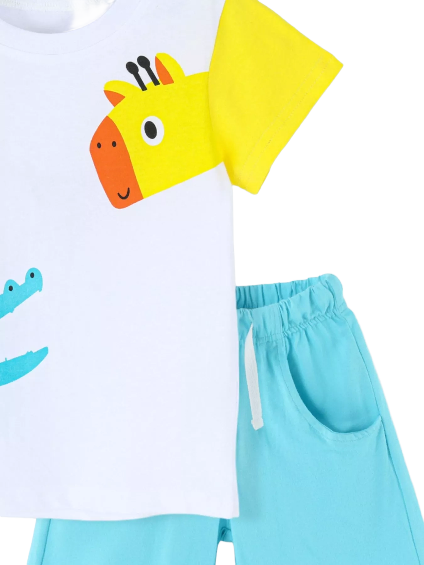 Animal Print T-shirt and Shorts Set