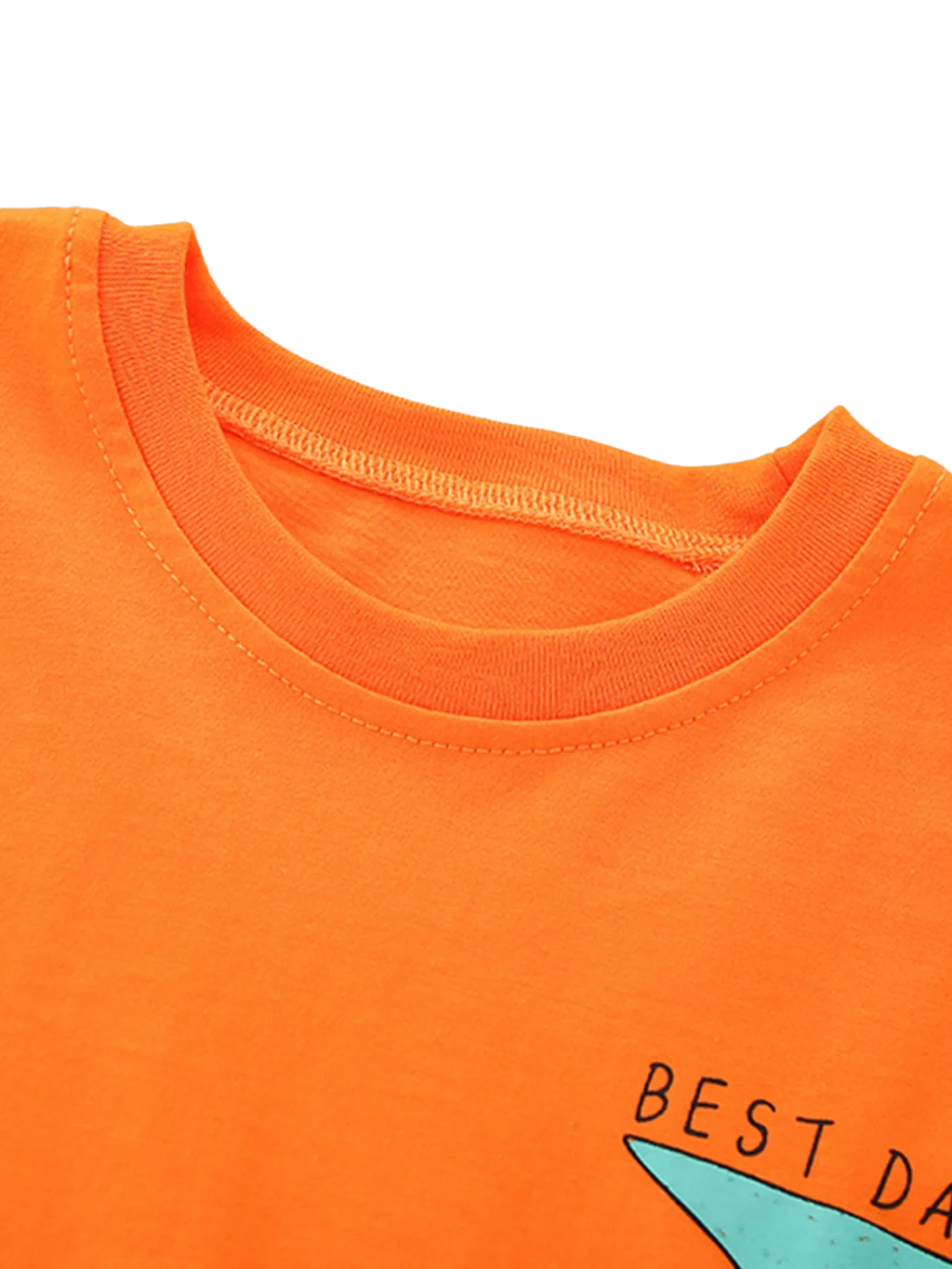 Bird Graphic Tee and Shorts Set