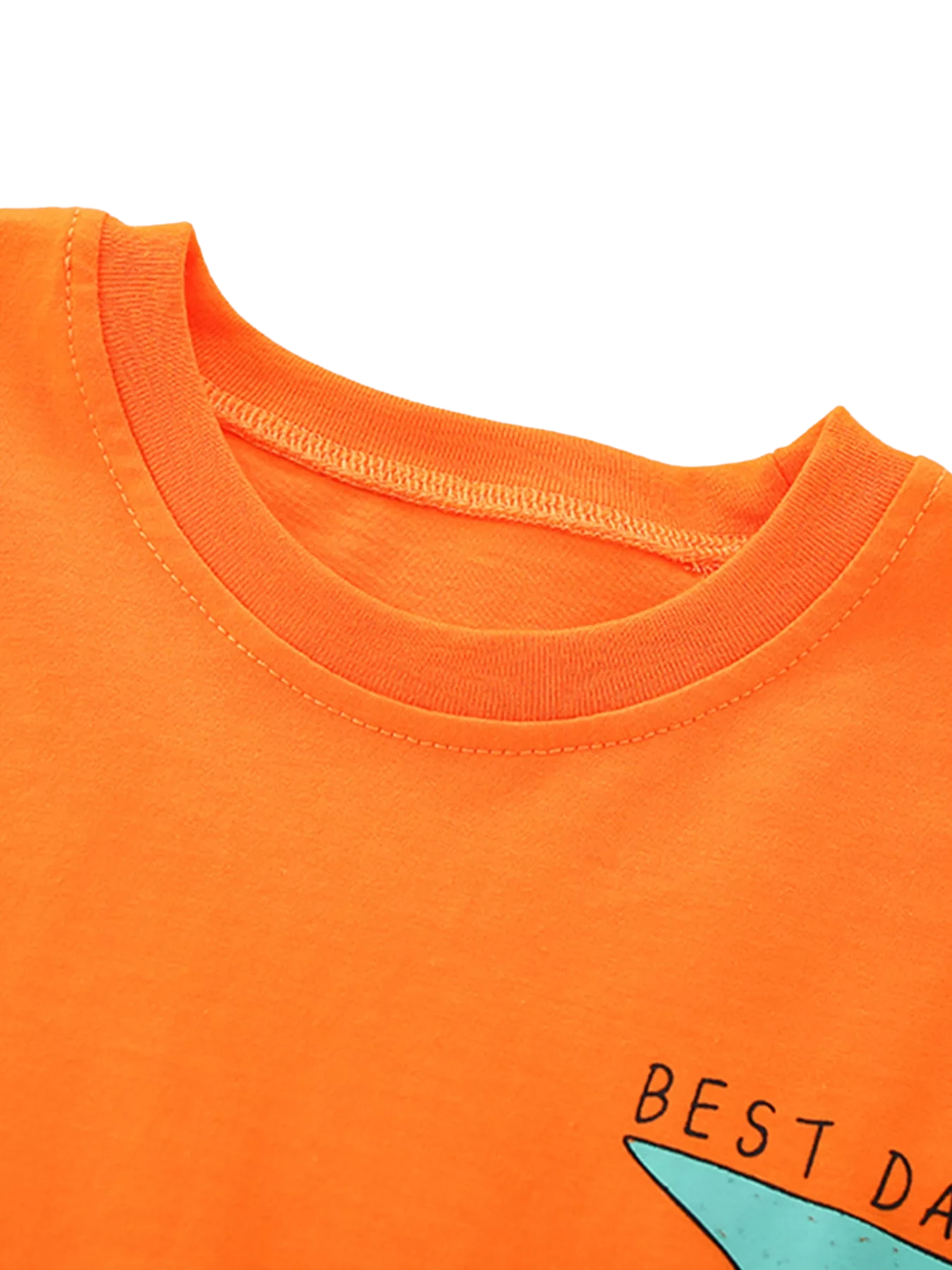Bird Graphic Tee and Shorts Set