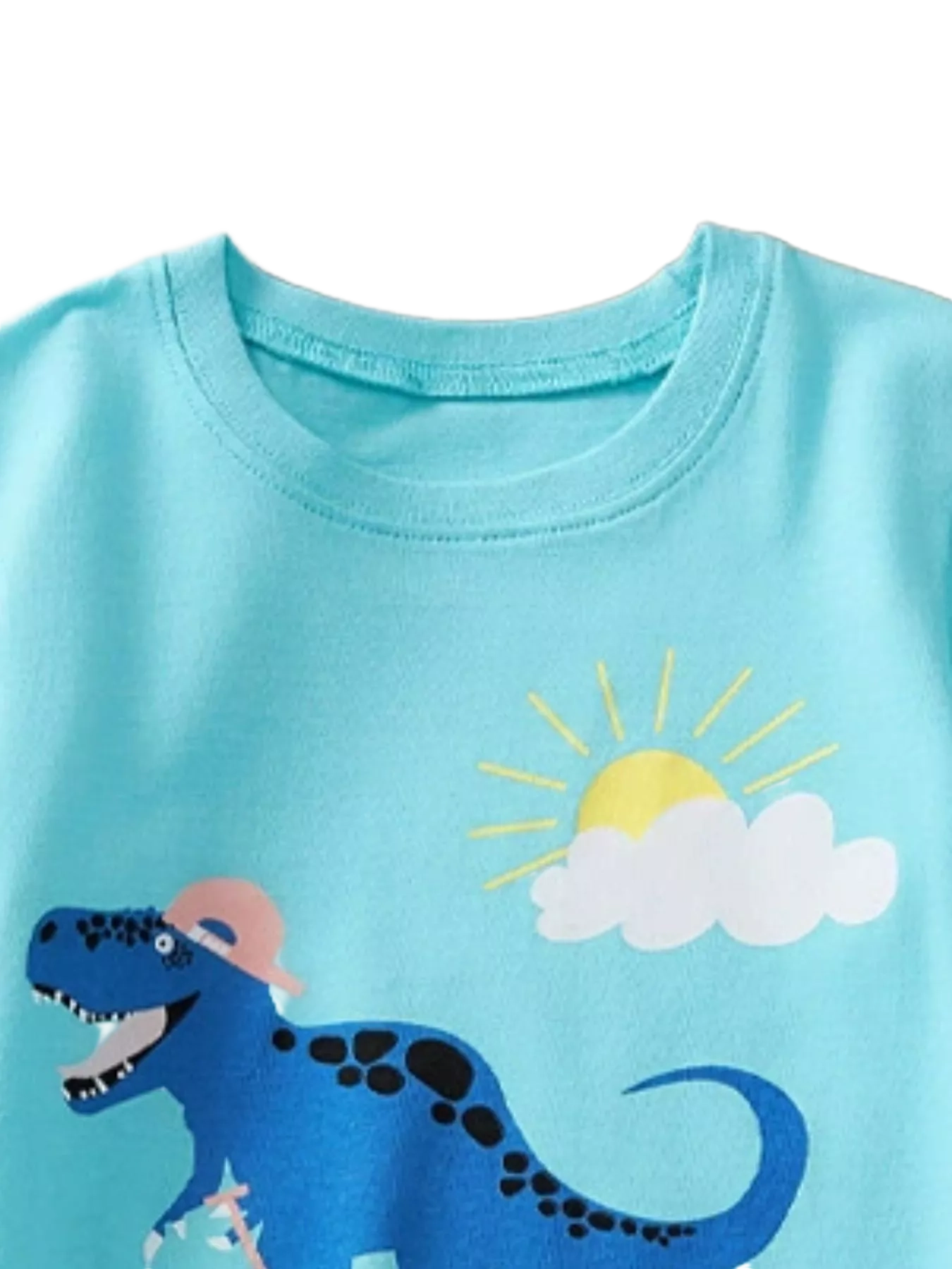 Dinosaur Triceratops Graphic T-Shirt