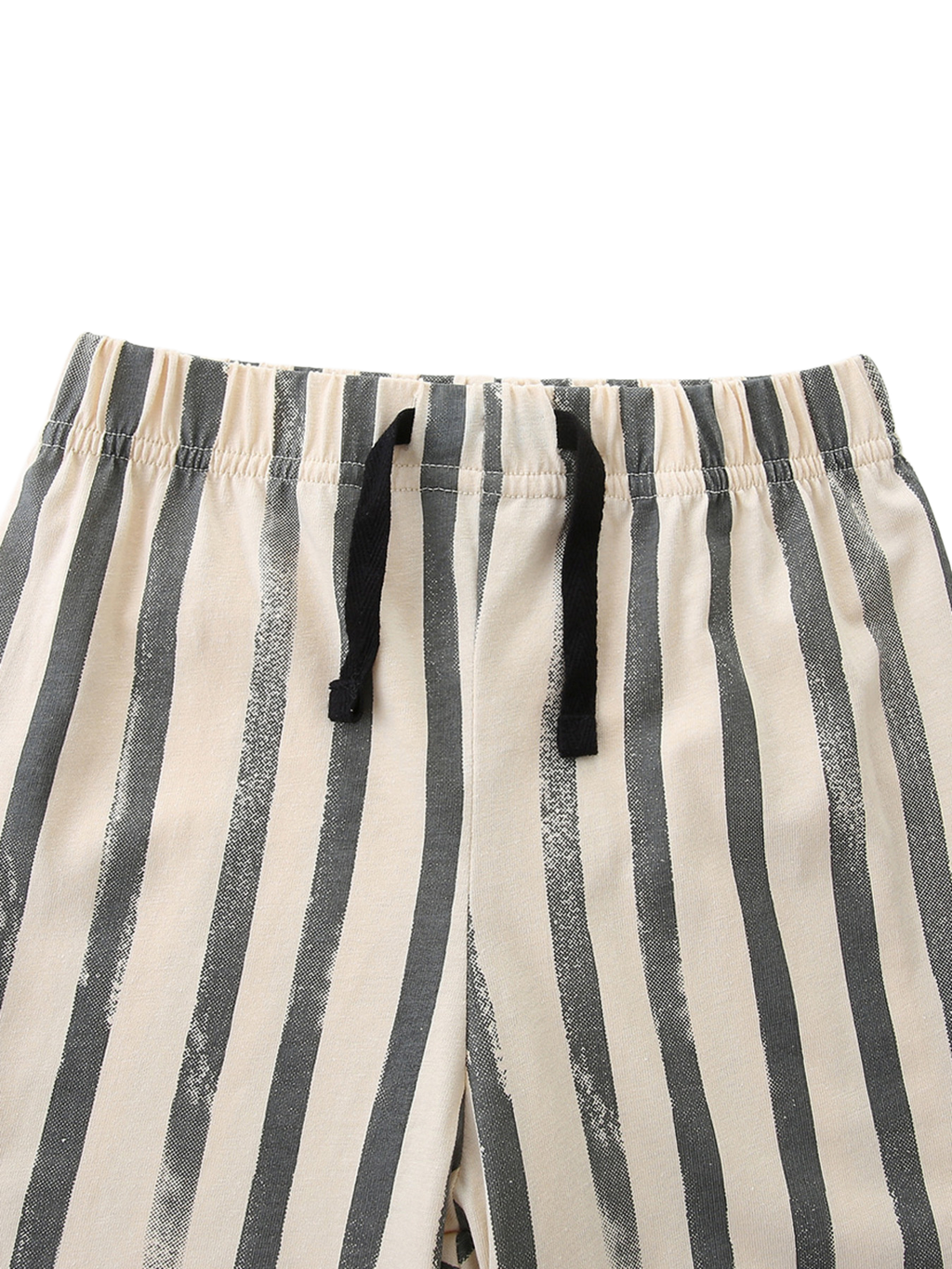 Zebra Short Sleeve Tee and Striped Shorts Set
