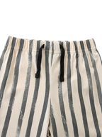 Kids Zebra Graphic T-Shirt and Striped Shorts Set