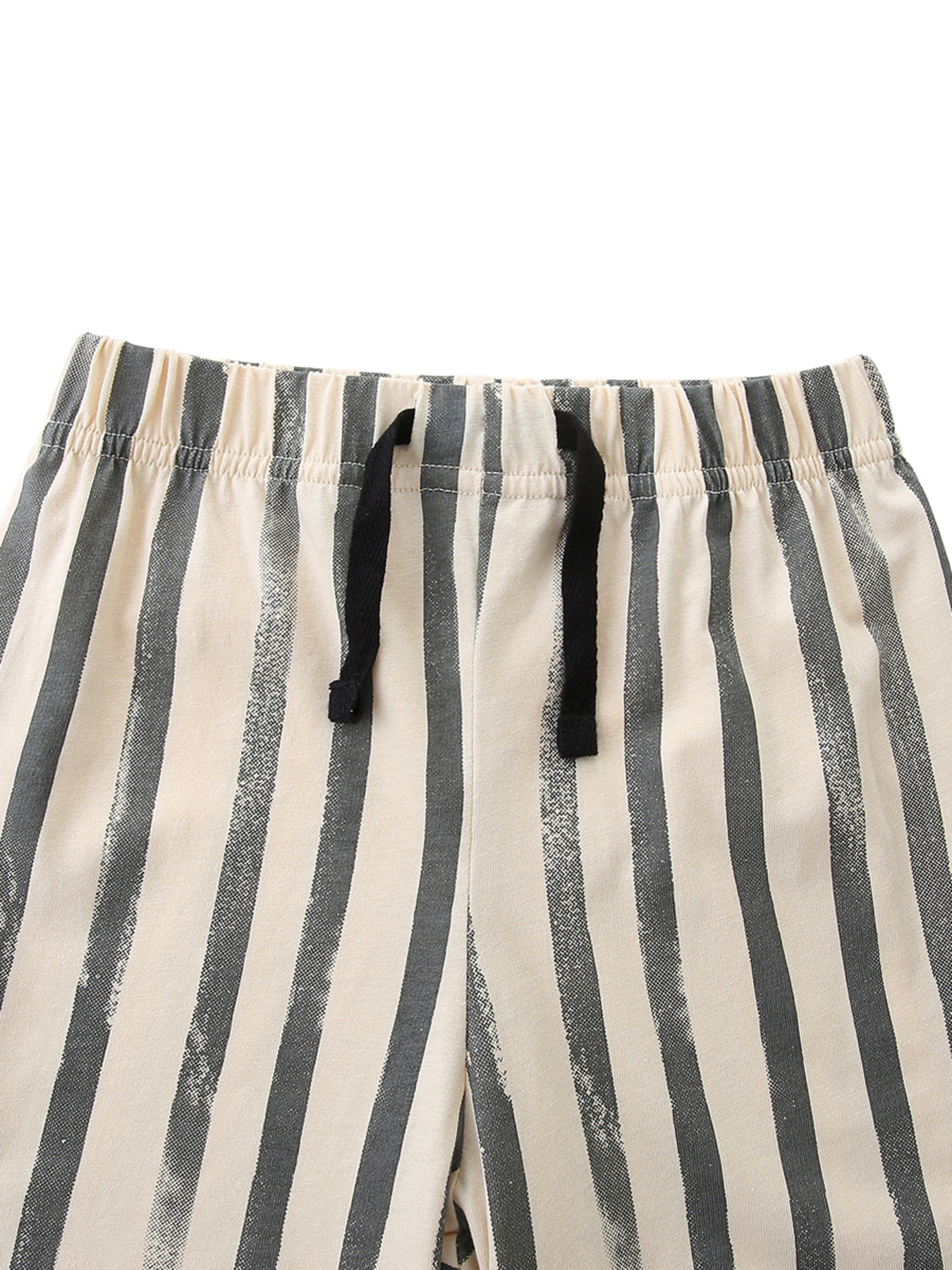 Zebra Short Sleeve Tee and Striped Shorts Set